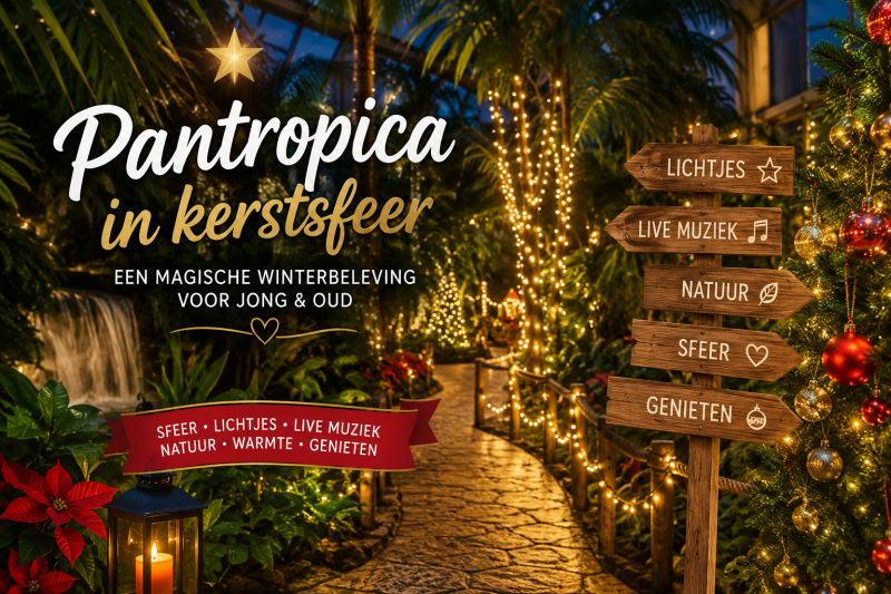 Een sfeervolle decemberdagtocht vol lichtjes, tropische warmte en kerstbeleving